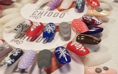 ChiodoPRO Pokaz Manicure Zdobienia zimowe - Siemianowice Śląskie - 24.11.2018